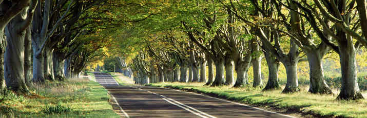 Веские доводы